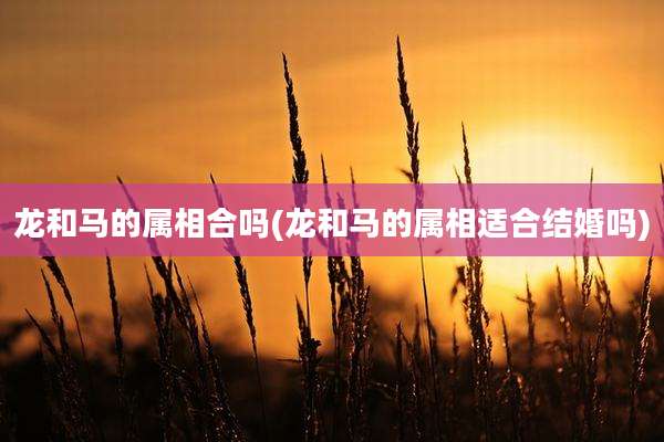 龙和马的属相合吗(龙和马的属相适合结婚吗)