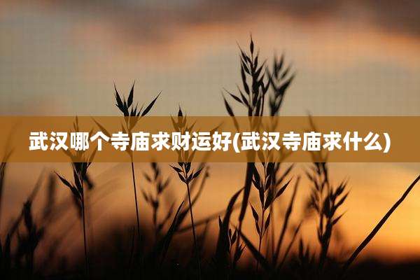 武汉哪个寺庙求财运好(武汉寺庙求什么)