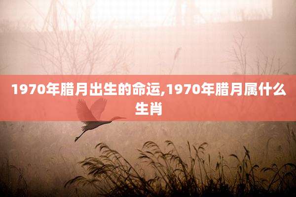 1970年腊月出生的命运,1970年腊月属什么生肖