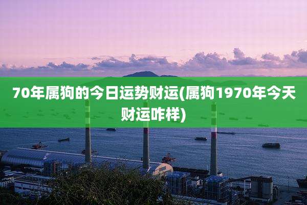 70年属狗的今日运势财运(属狗1970年今天财运咋样)