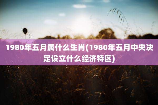 1980年五月属什么生肖(1980年五月中央决定设立什么经济特区)