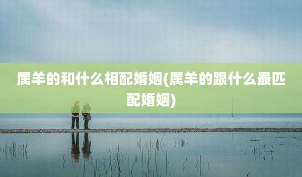 属羊的和什么相配婚姻(属羊的跟什么最匹配婚姻)