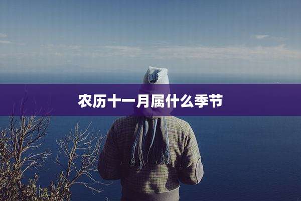 农历十一月属什么季节
