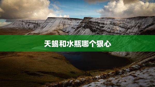 天蝎和水瓶哪个狠心