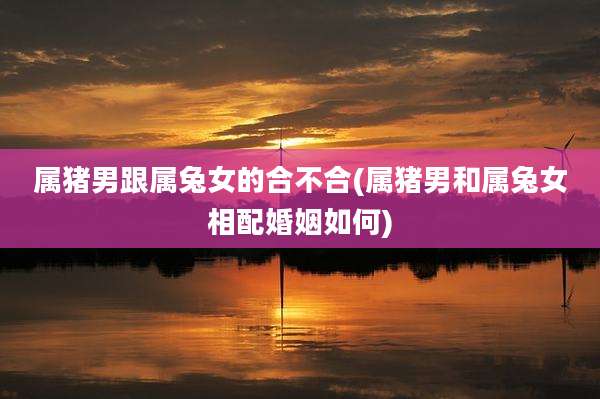 属猪男跟属兔女的合不合(属猪男和属兔女相配婚姻如何)