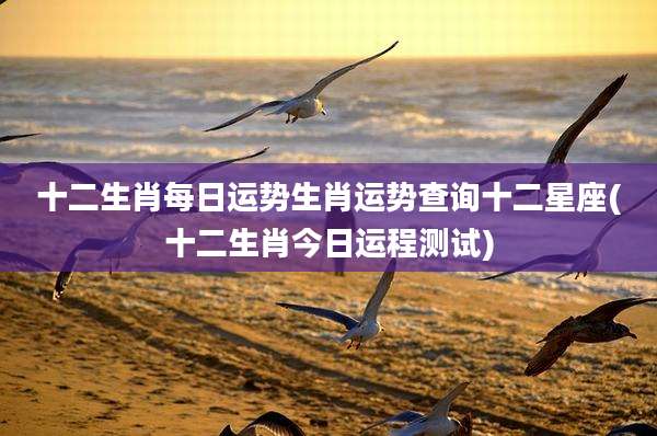 十二生肖每日运势生肖运势查询十二星座(十二生肖今日运程测试)