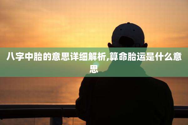 八字中胎的意思详细解析,算命胎运是什么意思