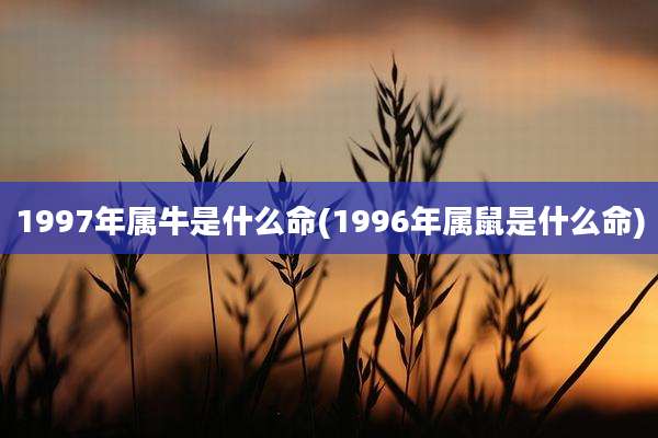 1997年属牛是什么命(1996年属鼠是什么命)