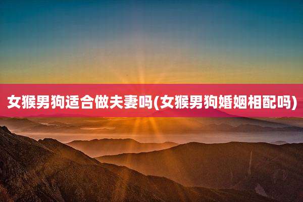 女猴男狗适合做夫妻吗(女猴男狗婚姻相配吗)
