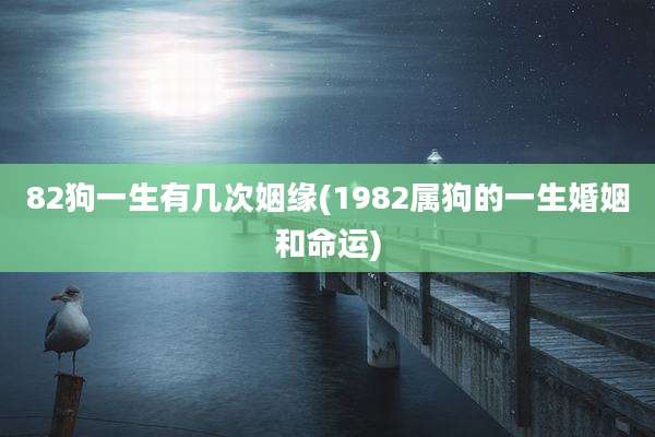 82狗一生有几次姻缘(1982属狗的一生婚姻和命运)