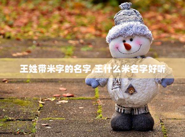 王姓带米字的名字,王什么米名字好听