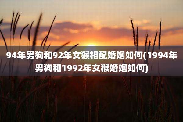 94年男狗和92年女猴相配婚姻如何(1994年男狗和1992年女猴婚姻如何)