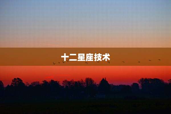 十二星座技术