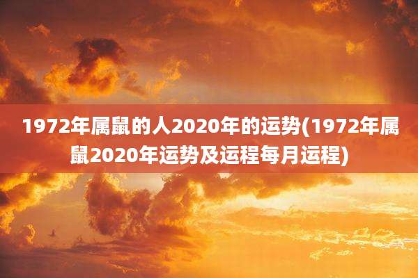 1972年属鼠的人2020年的运势(1972年属鼠2020年运势及运程每月运程)