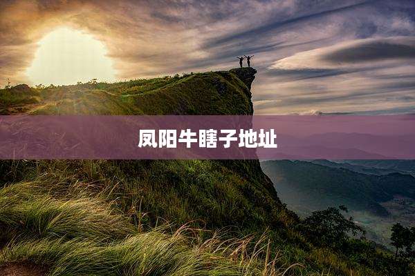 凤阳牛瞎子地址