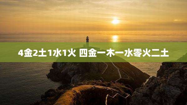 4金2土1水1火 四金一木一水零火二土
