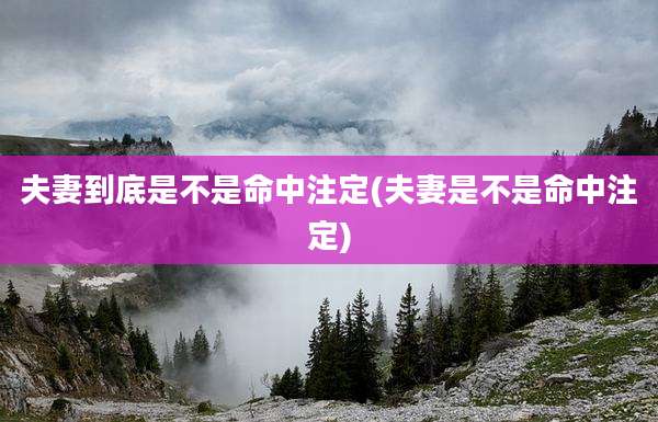 夫妻到底是不是命中注定(夫妻是不是命中注定)