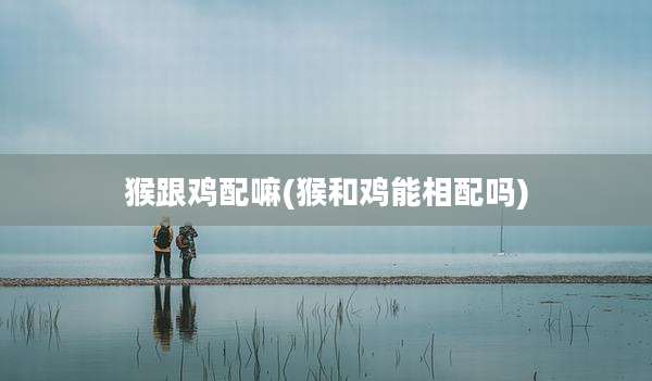 猴跟鸡配嘛(猴和鸡能相配吗)