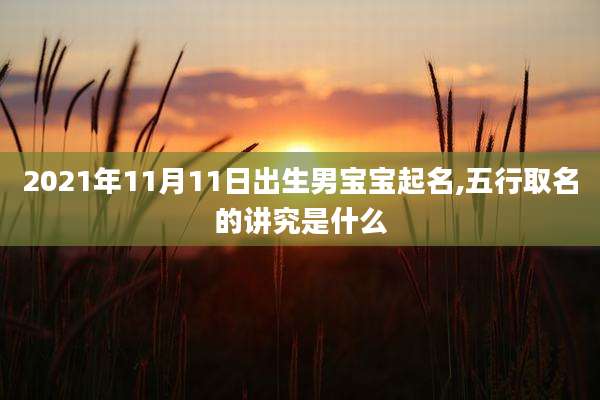 2021年11月11日出生男宝宝起名,五行取名的讲究是什么