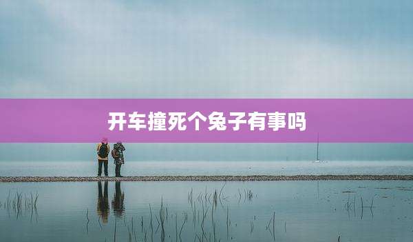 开车撞死个兔子有事吗