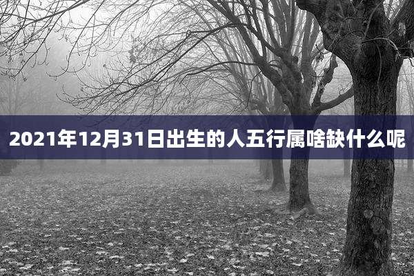 2021年12月31日出生的人五行属啥缺什么呢