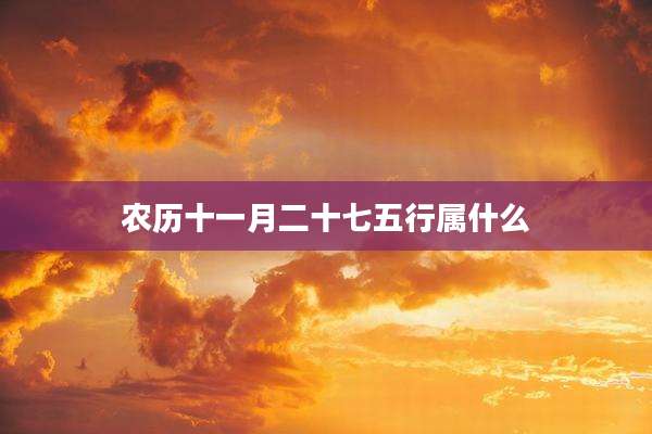 农历十一月二十七五行属什么