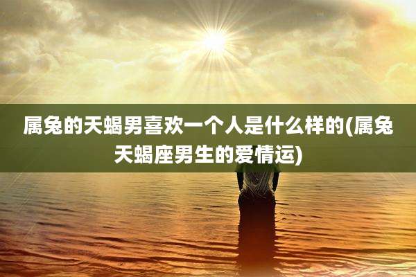 属兔的天蝎男喜欢一个人是什么样的(属兔天蝎座男生的爱情运)