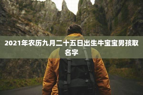 2021年农历九月二十五日出生牛宝宝男孩取名字