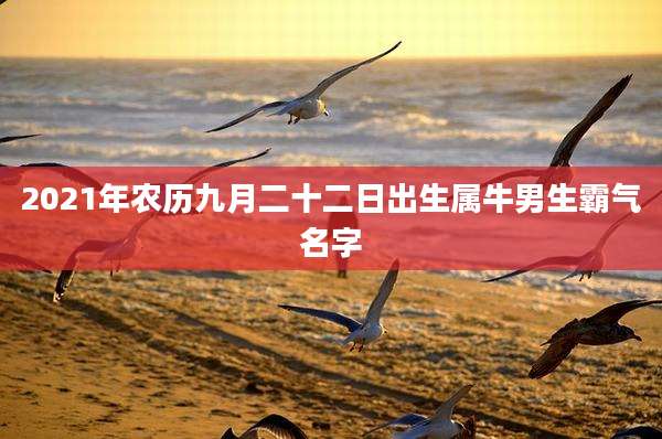 2021年农历九月二十二日出生属牛男生霸气名字
