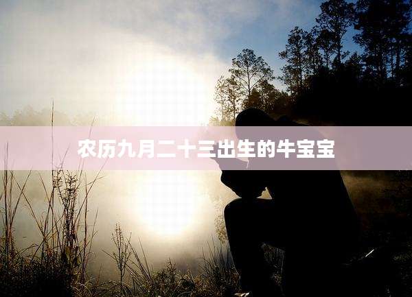 农历九月二十三出生的牛宝宝