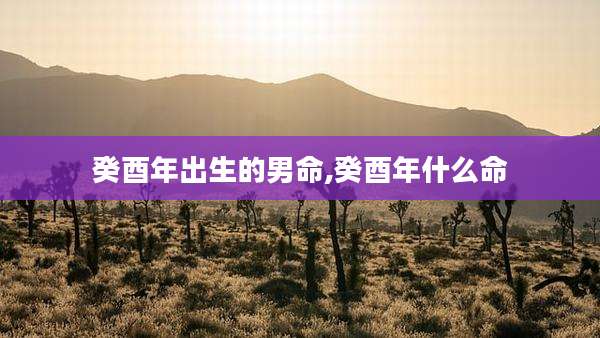 癸酉年出生的男命,癸酉年什么命