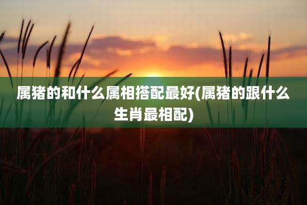 属猪的和什么属相搭配最好(属猪的跟什么生肖最相配)