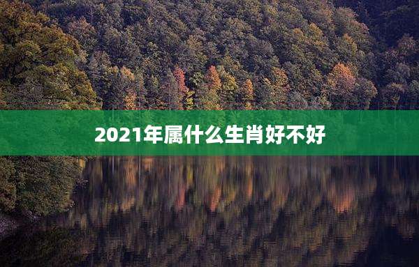 2021年属什么生肖好不好