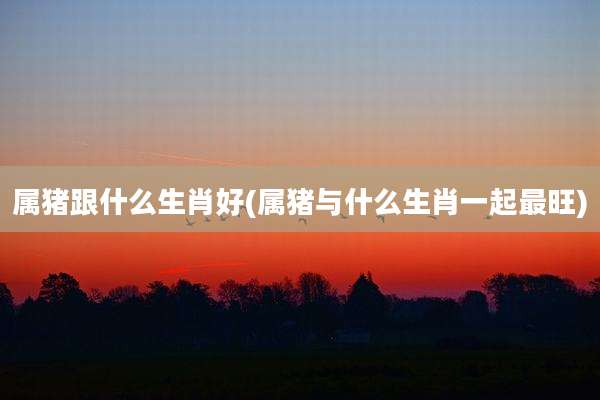 属猪跟什么生肖好(属猪与什么生肖一起最旺)