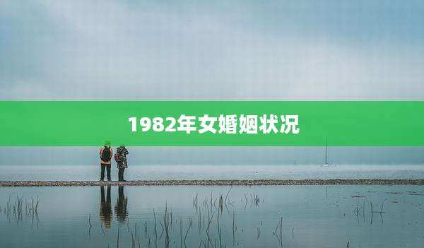 1982年女婚姻状况