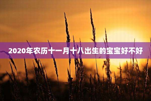 2020年农历十一月十八出生的宝宝好不好