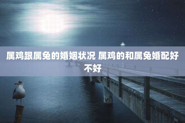 属鸡跟属兔的婚姻状况 属鸡的和属兔婚配好不好