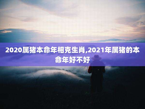 2020属猪本命年相克生肖,2021年属猪的本命年好不好