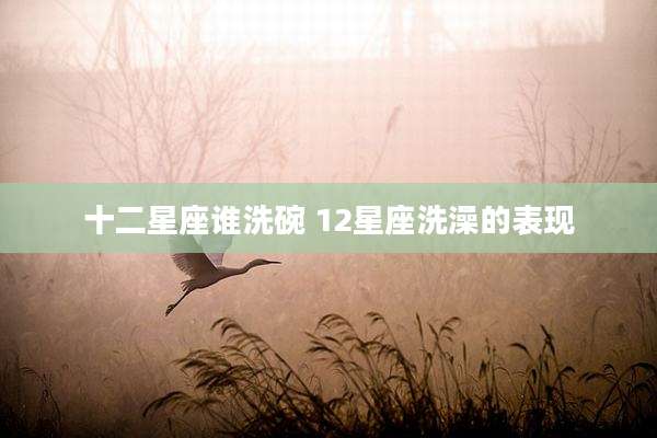 十二星座谁洗碗 12星座洗澡的表现