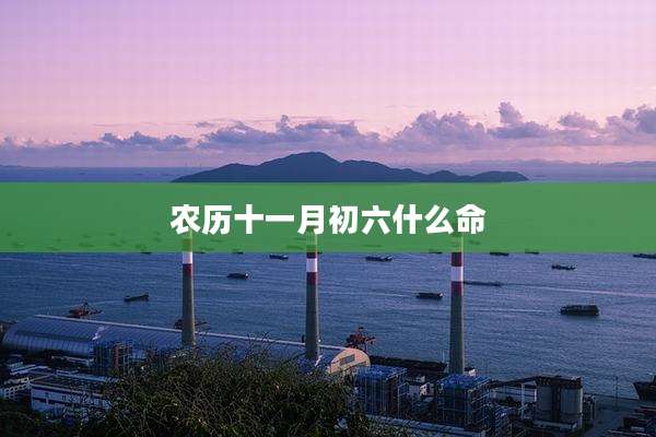 农历十一月初六什么命