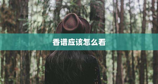 香谱应该怎么看