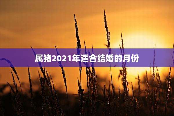 属猪2021年适合结婚的月份