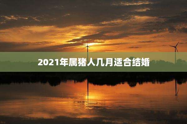 2021年属猪人几月适合结婚