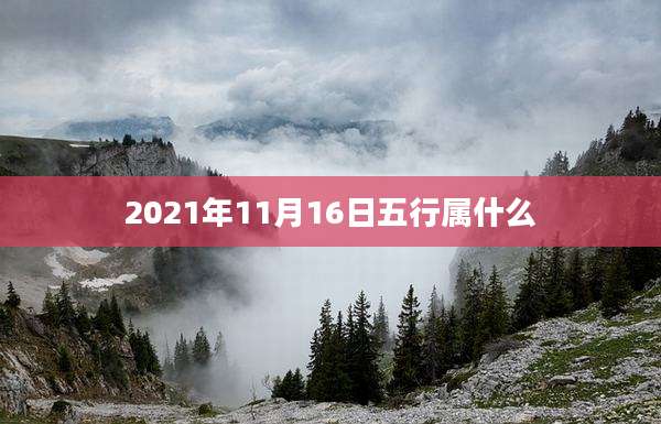 2021年11月16日五行属什么
