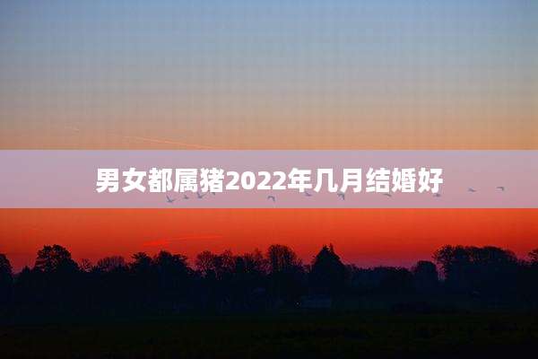 男女都属猪2022年几月结婚好