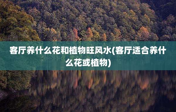 客厅养什么花和植物旺风水(客厅适合养什么花或植物)