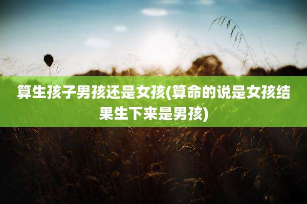 算生孩子男孩还是女孩(算命的说是女孩结果生下来是男孩)