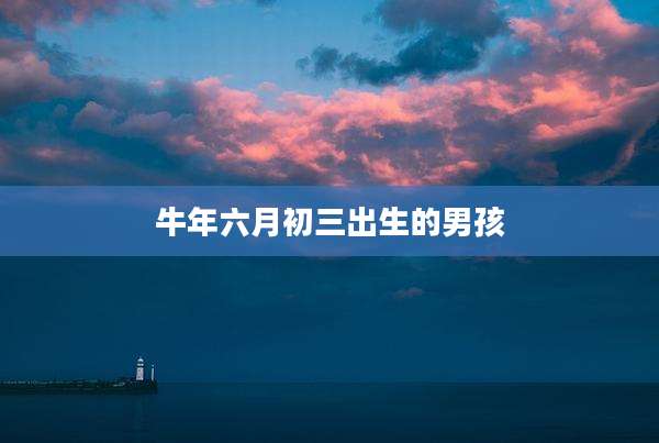 牛年六月初三出生的男孩