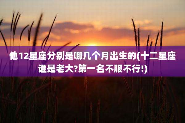 他12星座分别是哪几个月出生的(十二星座谁是老大?第一名不服不行!)