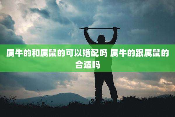 属牛的和属鼠的可以婚配吗 属牛的跟属鼠的合适吗